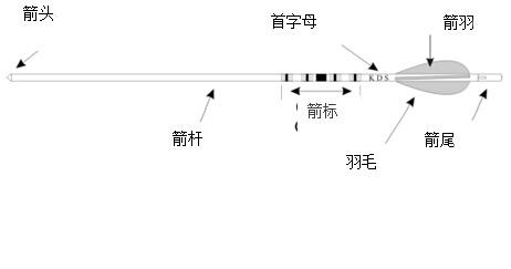 阿瑞斯病毒挑战，掌握弓与木箭精髓，无伤击败爆炸甲虫技巧