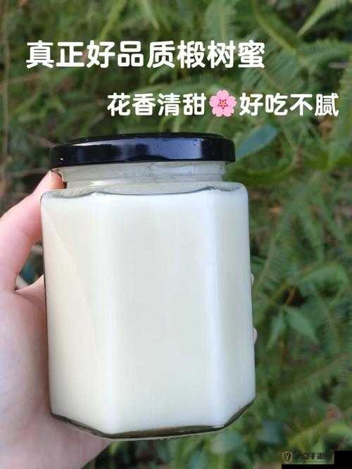 悠长假期中花蜜的多种用途及详细作用全面介绍