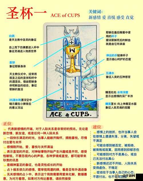 大千世界手游不老泉圣杯获取攻略，详解不老泉圣杯的获得方法